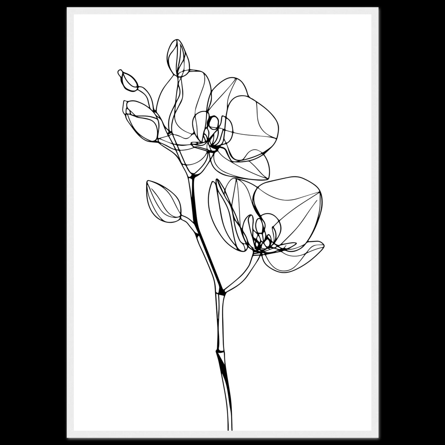 71e4bd24-79ea-4814-aa2e-3ba53c7dca35