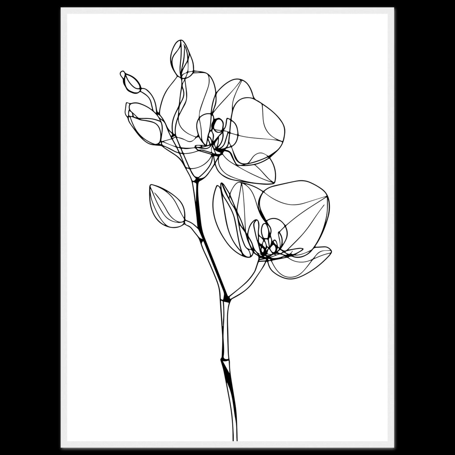 aec2f2ad-c6ba-4f4f-b6d2-c1d7a9c3f2a5