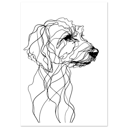 c530fe8b-93fc-4a6f-aa5c-4b9bd3883505